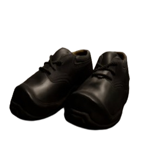 Security Shoes