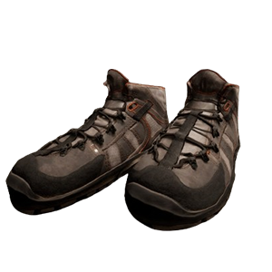 Delivery Shoes