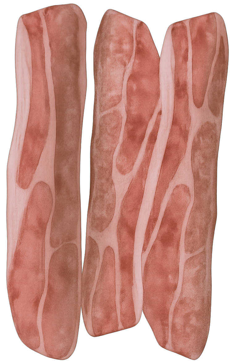 Bacon